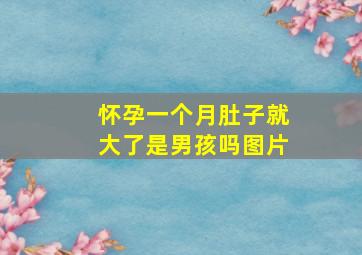 怀孕一个月肚子就大了是男孩吗图片