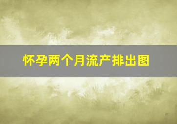 怀孕两个月流产排出图