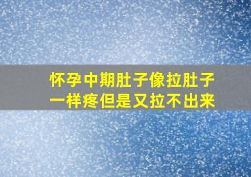 怀孕中期肚子像拉肚子一样疼但是又拉不出来