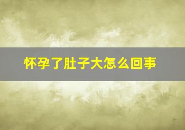 怀孕了肚子大怎么回事