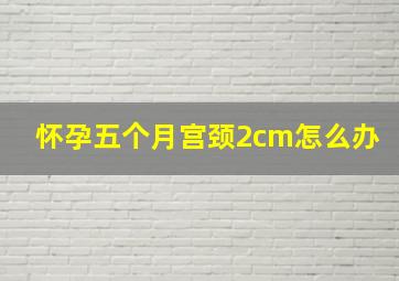 怀孕五个月宫颈2cm怎么办