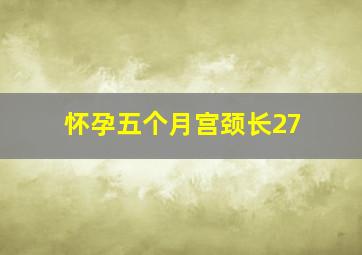 怀孕五个月宫颈长27