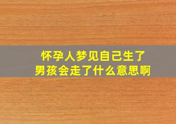 怀孕人梦见自己生了男孩会走了什么意思啊