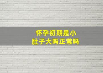 怀孕初期是小肚子大吗正常吗