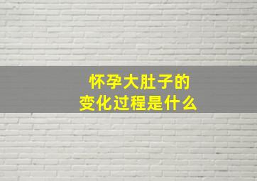 怀孕大肚子的变化过程是什么