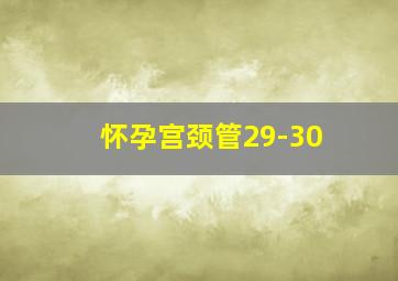 怀孕宫颈管29-30