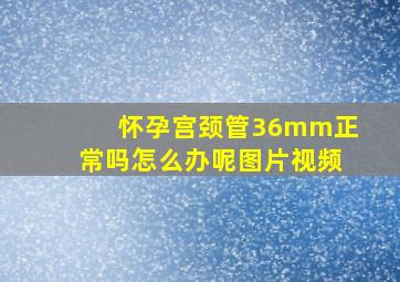 怀孕宫颈管36mm正常吗怎么办呢图片视频