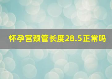 怀孕宫颈管长度28.5正常吗