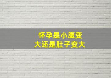 怀孕是小腹变大还是肚子变大