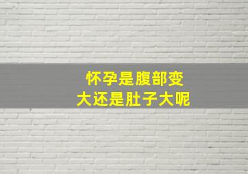 怀孕是腹部变大还是肚子大呢