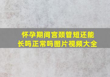 怀孕期间宫颈管短还能长吗正常吗图片视频大全