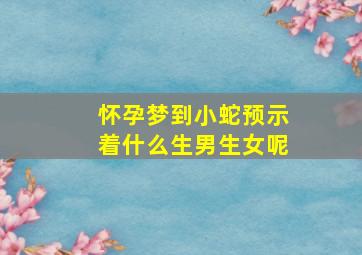 怀孕梦到小蛇预示着什么生男生女呢