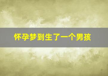 怀孕梦到生了一个男孩