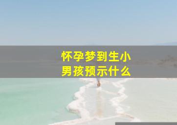 怀孕梦到生小男孩预示什么