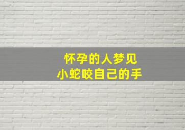 怀孕的人梦见小蛇咬自己的手