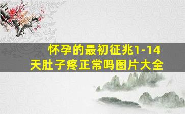 怀孕的最初征兆1-14天肚子疼正常吗图片大全