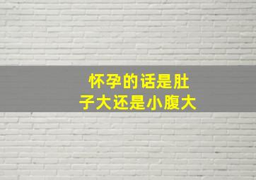 怀孕的话是肚子大还是小腹大