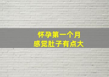 怀孕第一个月感觉肚子有点大