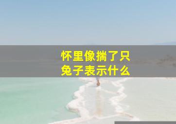 怀里像揣了只兔子表示什么