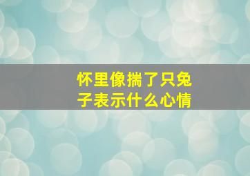 怀里像揣了只兔子表示什么心情