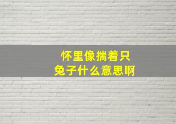 怀里像揣着只兔子什么意思啊