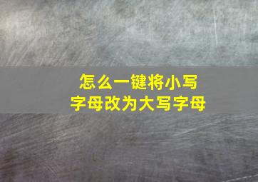 怎么一键将小写字母改为大写字母