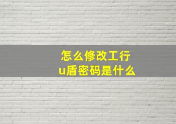 怎么修改工行u盾密码是什么