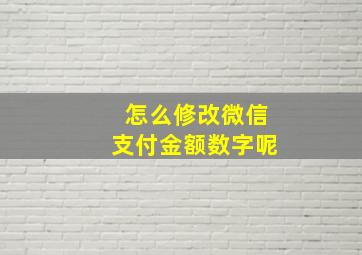 怎么修改微信支付金额数字呢