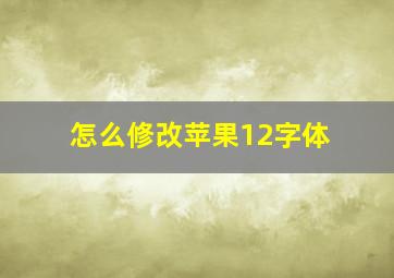 怎么修改苹果12字体