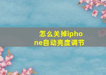 怎么关掉iphone自动亮度调节