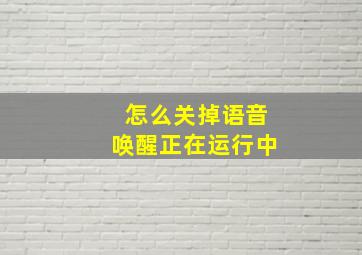 怎么关掉语音唤醒正在运行中