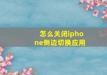 怎么关闭iphone侧边切换应用