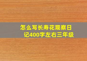 怎么写长寿花观察日记400字左右三年级