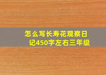 怎么写长寿花观察日记450字左右三年级