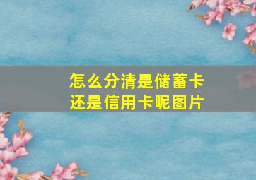 怎么分清是储蓄卡还是信用卡呢图片