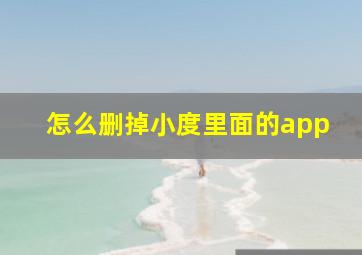 怎么删掉小度里面的app