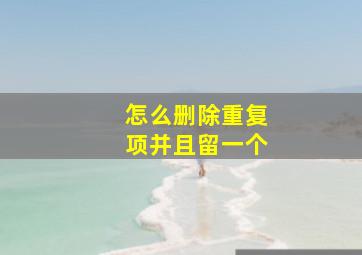 怎么删除重复项并且留一个