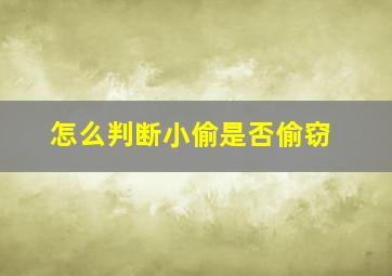 怎么判断小偷是否偷窃