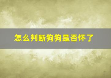 怎么判断狗狗是否怀了