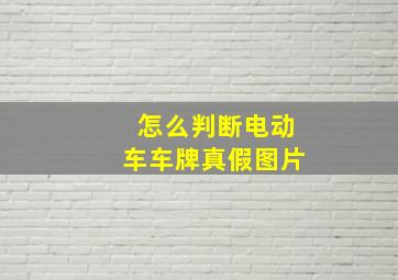 怎么判断电动车车牌真假图片