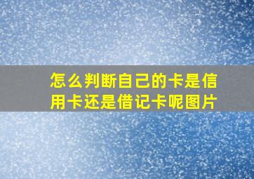 怎么判断自己的卡是信用卡还是借记卡呢图片