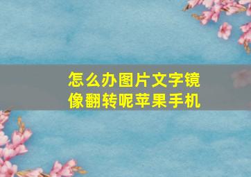 怎么办图片文字镜像翻转呢苹果手机