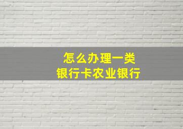 怎么办理一类银行卡农业银行