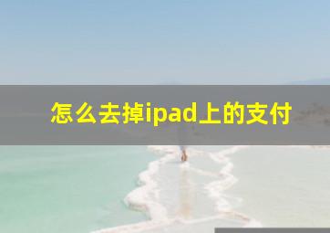 怎么去掉ipad上的支付