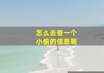 怎么去查一个小偷的信息呢