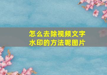 怎么去除视频文字水印的方法呢图片