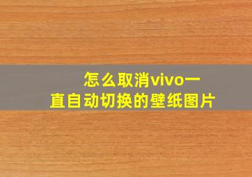 怎么取消vivo一直自动切换的壁纸图片