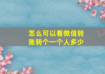 怎么可以看微信转账转个一个人多少