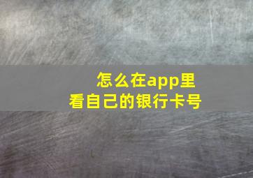 怎么在app里看自己的银行卡号