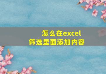 怎么在excel筛选里面添加内容